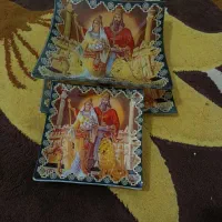 زیروروباپیش دستی