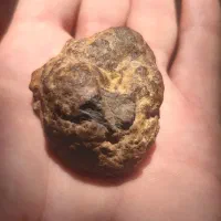 شهاب سنگ|کلکسیون اشیاء عتیقه|میمند, |دیوار