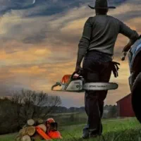 برش درخت و خرید چوب