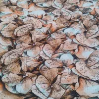 سه قواره پارچه کوردی و ماکسی