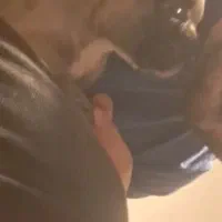 فرنچ بولاگ اگزوتیک