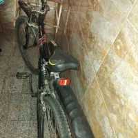 دوچرخه|دوچرخه، اسکیت، اسکوتر|قم, تعویض پلاک|دیوار
