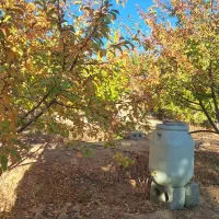 باغ ۴۷۵ متری امامیه|فروش دفتر صنعتی، کشاورزی، تجاری|شهرکرد, |دیوار