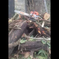 قطع درخت علفتراشی