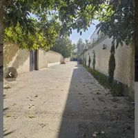 باغچه ۵۰۰ متری / نقد