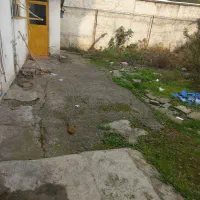 اجاره خانه ویلایی بازمین بزرگ|اجارهٔ خانه و ویلا|رشت, فلسطین|دیوار