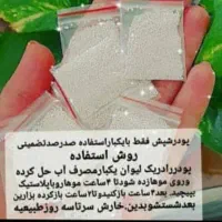 پودر شپش