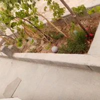 زمین 200متری داخل بافت کلاکوب شاهنامه کلات|فروش زمین و ملک کلنگی|مشهد, کلاکوب|دیوار