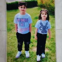 تابلو فرش پلاس