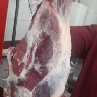 قصابی حمید گلقندشتی