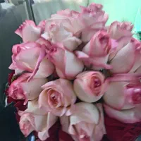 فروش-باغ