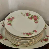 ظروف گلسرخی سالم