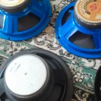یک جفت میدرنج و یک ساب خانگی