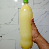 زیتون پرورده گردویی اعلا .آبلیمو وآبغوره طبیعی|عمده‌فروشی|قروه, |دیوار
