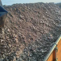 کود قفسی فروشی تنی هم هست