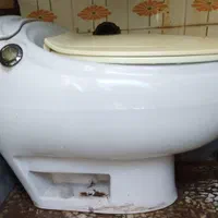 توالت فرنگی سالم