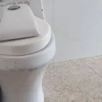 دستشویی فرنگی