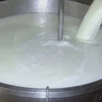 فروش شیر محلی تازه