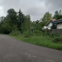 زمین ۲۵۰ متری باغی دور فنس|فروش زمین و ملک کلنگی|رشت, آب و برق|دیوار