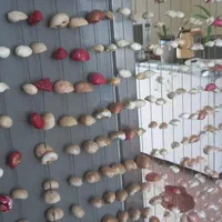 پرده تمام صدف|پرده، رانر، رومیزی|شیراز, اصلاح‌نژاد|دیوار