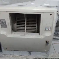 کولرابی