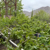 سوییت فوق درقمصر شیک و تمیز دوخواب|اجارهٔ کوتاه‌مدت آپارتمان و سوئیت|قمصر, |دیوار