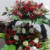 گل دوطبقه