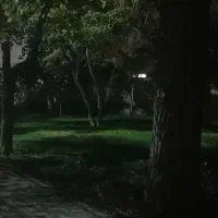 فروش زمین باغ در نزدیک ترین نقطه به شهر(باغ نو)