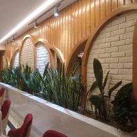 خدمات لاکچری تیمار گیاهان و طراحی فضای سبز پریمیوم