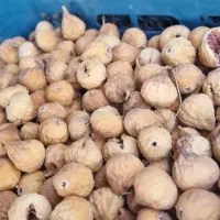 انچیرسفید گوشتی در کوار|خوردنی و آشامیدنی|شیراز, بید زرد|دیوار