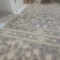 فرش فروشی|فرش|مسجد سلیمان, |دیوار
