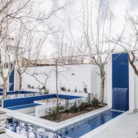 میکروسمنت و پتینه