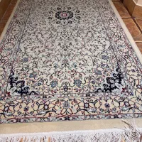 فرش مشهد ۱۲ متری بسیار تمیز|فرش|رشت, کاکتوس|دیوار