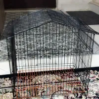 قفس نو قیمت مناسب