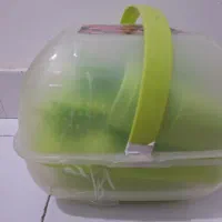 ظرف