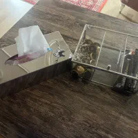 جا دستمالی استیل تی بگ سالم هستش