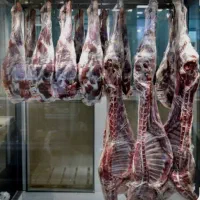گوشت تازه گوسفندی زیرقیمت کشتارگاه