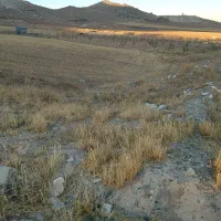 زمین باغی معاوظع هم دارم|فروش خانه و ویلا|قروه, |دیوار