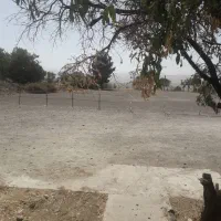 پانسیون اسب|اسب و تجهیزات اسبسواری|کرمانشاه, |دیوار