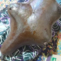 هیزه|ظروف نگهدارنده، پلاستیکی، یکبارمصرف|زرنه, |دیوار