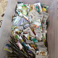 ۵۰۰ عدد کارت بازی کلکسیونی|اسباب‌بازی بچه|شهریار, شهریار|دیوار