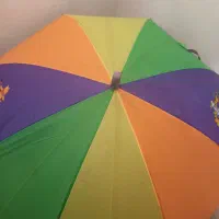 چتربچه گانه