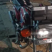 پرنده|پرنده|سوسنگرد, |دیوار