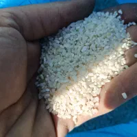 برنج|خوردنی و آشامیدنی|بندر ماهشهر, |دیوار