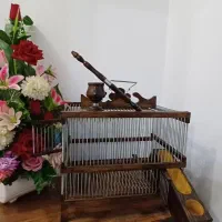 قفس دست ساز|لوازم جانبی حیوانات|شیراز, آبیاری|دیوار