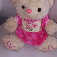 عروسک خرس و قورباغه بزرگ در حدنو