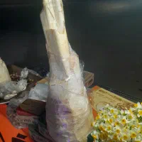 پنیر نخل آماده شیرین و ترد|خوردنی و آشامیدنی|شیراز, ملاصدرا|دیوار