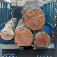 خرید و بورش انواع چوب|خدمات باغبانی و درختکاری|مبارکه, |دیوار