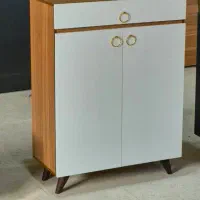 جاکفشی دو در(ارسال‌‌رایگان)