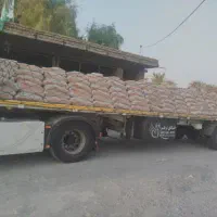 سیمان هرمزگان به قیمت کارخانه